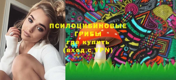крисы Михайловск