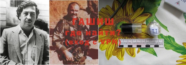 крисы Михайловск