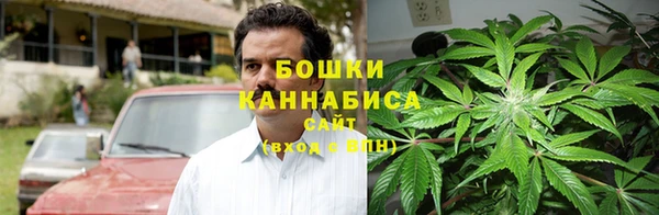 крисы Михайловск
