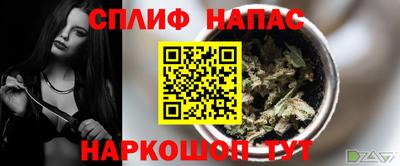 шишки Кинель