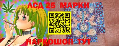 шишки Кинель