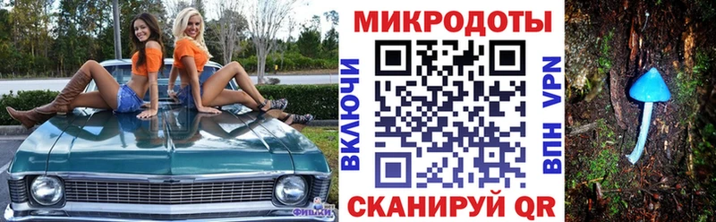 Галлюциногенные грибы GOLDEN TEACHER  Спасск-Дальний 