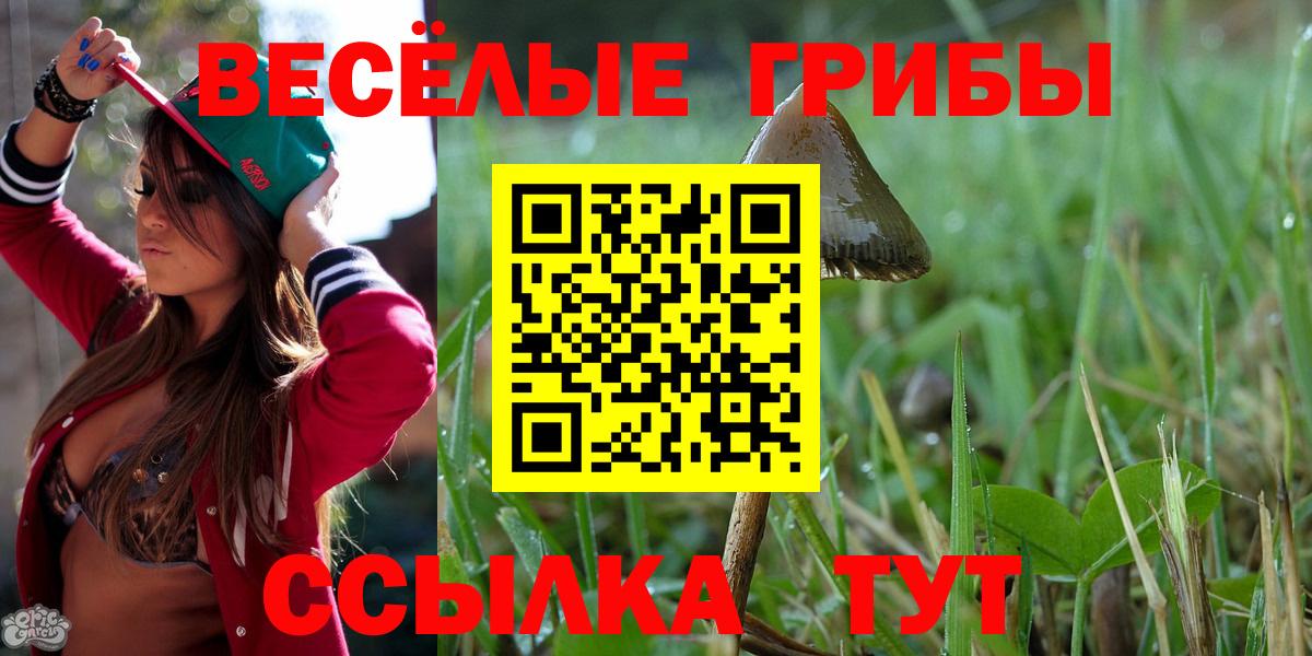 Спасск-Дальний  Галлюциногенные грибы мицелий  Галлюциногенные грибы GOLDEN TEACHER  Вход с VPN 